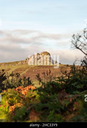 UK, England, Devonshire, Dartmoor. Haytor Rocks with the gorse & heather blooming on the moor. Stock Photo