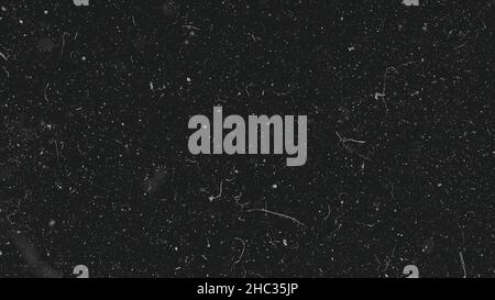 White dust particles moving slowly in space on black background ...