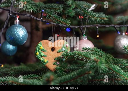 Christmas decorations hung on a natural spruce tree. Christmas balls, hand-decorated gingerbreads and chains on the Christmas tree. Stock Photo