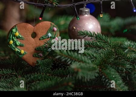 Christmas decorations hung on a natural spruce tree. Christmas balls, hand-decorated gingerbreads and chains on the Christmas tree. Stock Photo