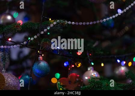 Christmas decorations hung on a natural spruce tree. Christmas balls, hand-decorated gingerbreads and chains on the Christmas tree. Stock Photo
