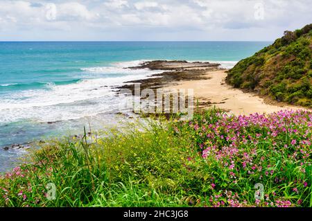 View from Devil's Elbow between Fairhaven and Lorne on the Great Ocean Road - Eastern View, Victoria, Australia Stock Photo