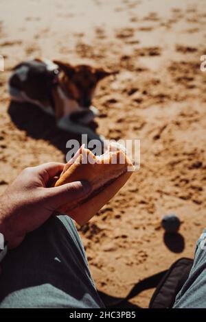 Closeup shot of a male hand holding a bitten sandwich on the beach Stock Photo