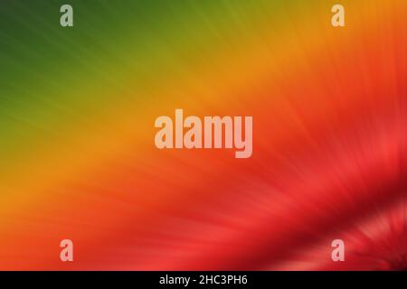 A bright pattern with colorful and blurred lines Stock Photo