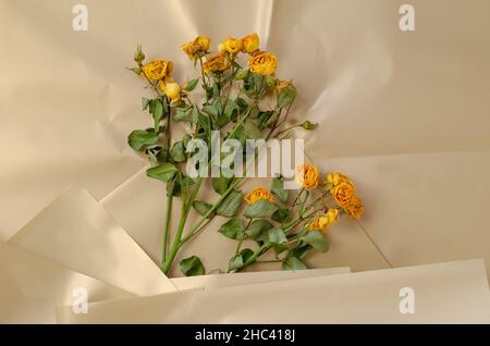 Wilted flowers against a creamy surface. Yellow roses. Crumpled shiny wrapping paper. Top view. Selective focus. Stock Photo