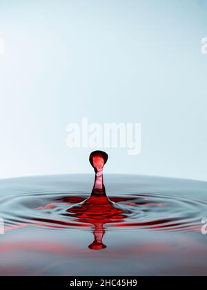 Water drop splash red colored, isolated on white background. Stock Photo
