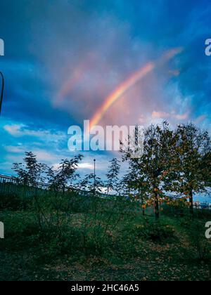 Vertical shot of trees with rainbows in the background Stock Photo