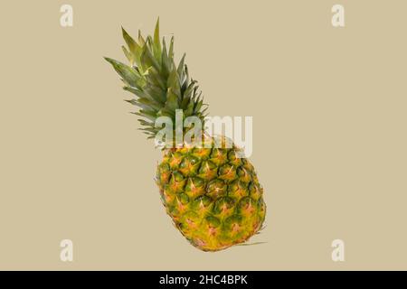 Pineapple fruit isolated on pastel background. Creative layout made of pineapple. Flying food. Food concept Stock Photo