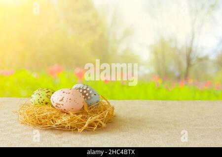 Easter eggs painted in soft colors on a hay nest in front of a springtime garden background, copy space for Happy Easter text. Stock Photo