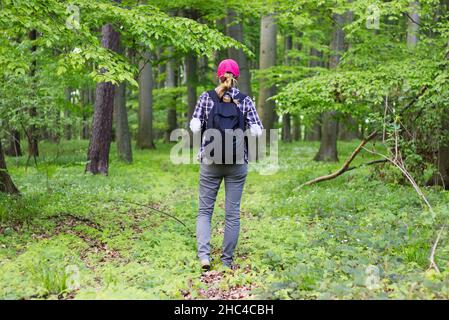 Girl tourist hiking in the forest. Young woman with a backpack on a walk through the woods. Adventure concept. Stock Photo