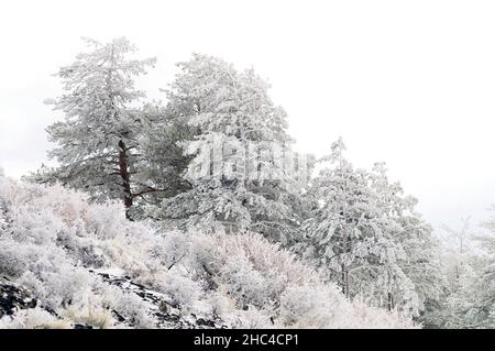 Snowy landscapes from the interior of Granada - Spain Stock Photo