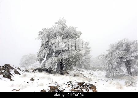 Snowy landscapes from the interior of Granada - Spain Stock Photo