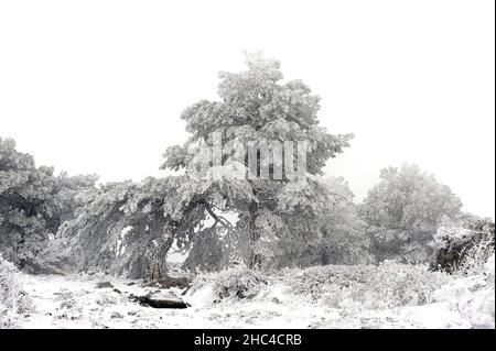 Snowy landscapes from the interior of Granada - Spain Stock Photo