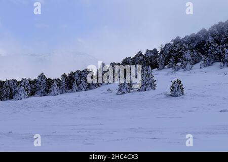 Snowy landscapes from the interior of Granada - Spain Stock Photo