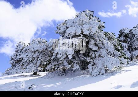 Snowy landscapes from the interior of Granada - Spain Stock Photo