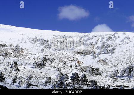 Snowy landscapes from the interior of Granada - Spain Stock Photo