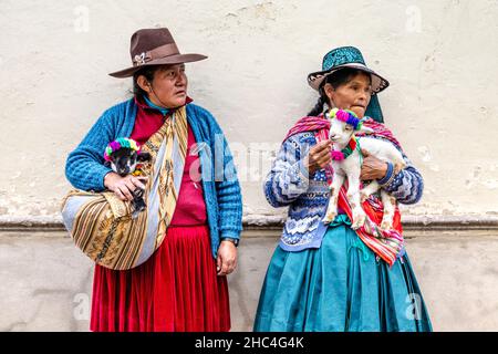 Peruvian women in traditional dress with baby alpacas in Cusco, Sacred Valley, Peru Stock Photo