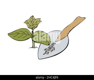 Sprout soil and seeds of cucumber, vector hand drawn illustration. Doodle Garden Plants, Seedlings. Contour image, contour. Isolated, white background. Vector illustration Stock Vector
