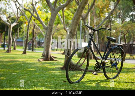 Old bicycle in the park. Parked on the lawn. Stock Photo