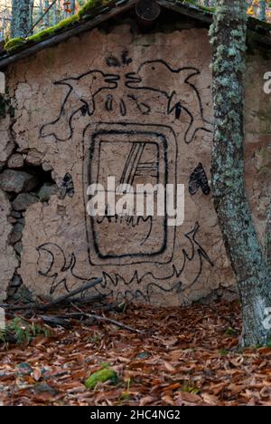 Graffiti on abandoned house in forest in autumn with fallen leaves and moss Stock Photo