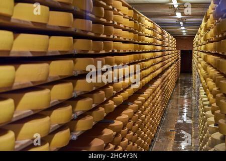 Visiting Gruyere cheese factory and museum, Switzerland Stock Photo