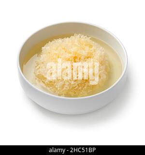 Soaking a whole dried white fungus in water in a bowl close up isolated on white background Stock Photo