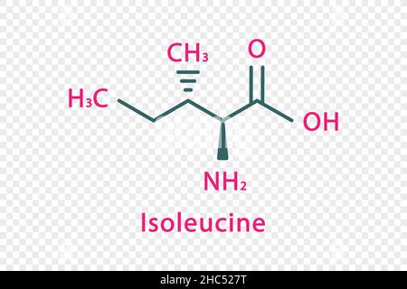 Isoleucine chemical formula. Isoleucine structural chemical formula isolated on transparent background. Stock Vector