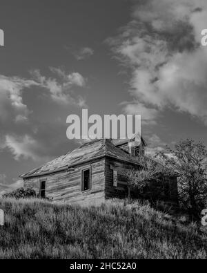 Vertical grayscale shot of a wooden cabin surrounded by trees Stock Photo