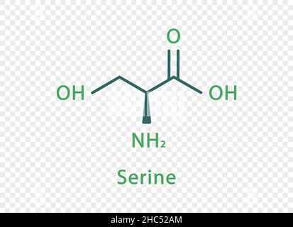 Serine chemical formula. Serine structural chemical formula isolated on transparent background. Stock Vector