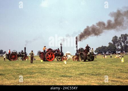 A traction engine rally at Brixworth in 1971 Stock Photo