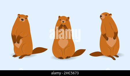 Marmot. SET of characters. Groundhog day. Beavers isolated. Vector illustration. Rodents. Harbingers of Spring Stock Vector