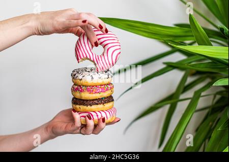 Female holds in hand colorful stack of glazed donuts. White background. Top view. Copy space Stock Photo