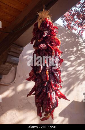 Low angle view of a ristra with drying red chile peppers hanging against a light pink stucco wall with a tree with red leaves in the background. Stock Photo
