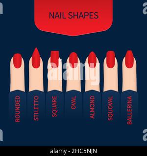 Fingernails of different shapes, illustration Stock Photo