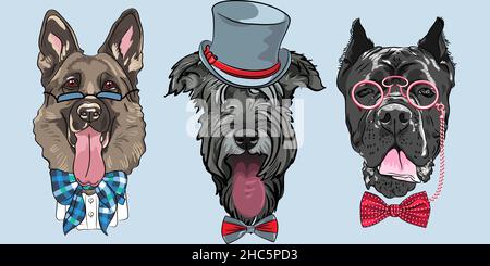Set of hipster dog German shepherd, Schnauzer and Cane Corso breed in hat, glasses and bow tie Stock Vector