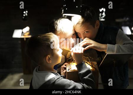 Kids studying natural mineral in Geological Museum Stock Photo