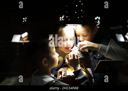 Boys studying natural mineral in Geological Museum Stock Photo