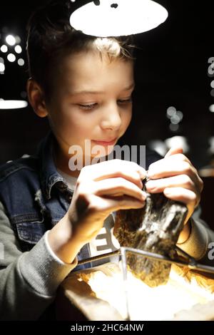 Kid studying natural mineral in Geological Museum Stock Photo