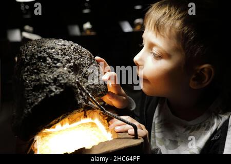 Boy examines natural mineral in Geological Museum Stock Photo