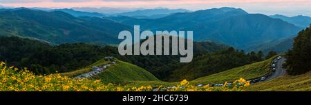 panorama veiw beautiful scenery of yellow flowers Thung Bua Tong, Mae Hong Son, Thailand Stock Photo