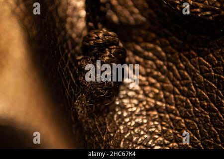 Texture of dark brown leather material Stock Photo