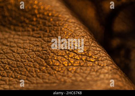 Slightly weathered surface of dark brown leather Stock Photo