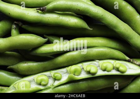 Photography of a bunch of broad bean pods and broad beans in open pod for food background Stock Photo