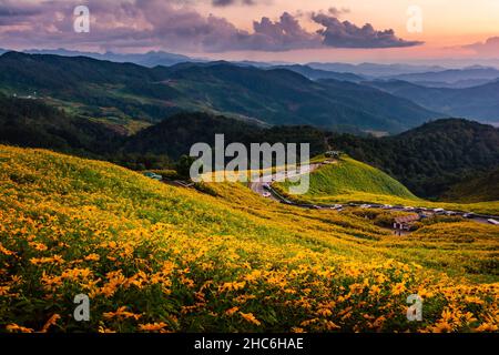 beautiful scenery veiw point of yellow flowers Thung Bua Tong, Mae Hong Son, Thailand Stock Photo