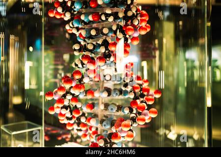 Close-up view of DNA model, structure with lot of colorful balloons on green background. Stock Photo