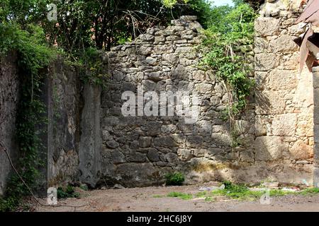Traditional stone house wall ruins partially covered with fresh green crawler plants surrounded with gravel in front and dense tree branches in back Stock Photo