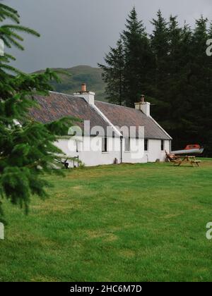 A typical white croft Scottish cottage surrounded by pine trees in the remote Scotland landscape of the West Highlands Uk Stock Photo