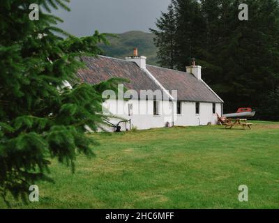 A typical white croft Scottish cottage surrounded by pine trees in the remote Scotland landscape of the West Highlands Uk Stock Photo