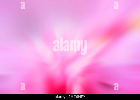 Soft pink blurry wallpaper background Stock Photo