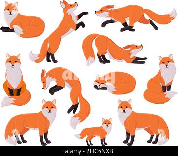 Cartoon foxes, forest red cute fox character. Woodland animal, forest wildlife predator sleeping, running, jumping vector illustration set. Funny red Stock Vector